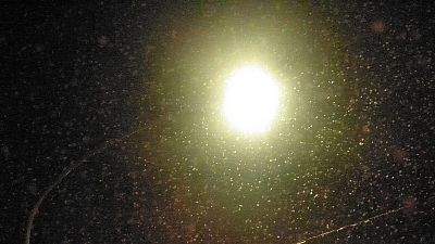 100309雪s01.jpg