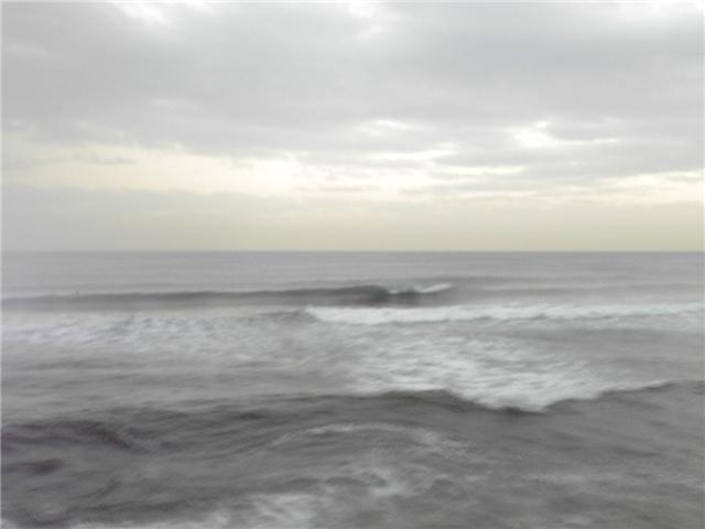 20091003banyuu4.jpg