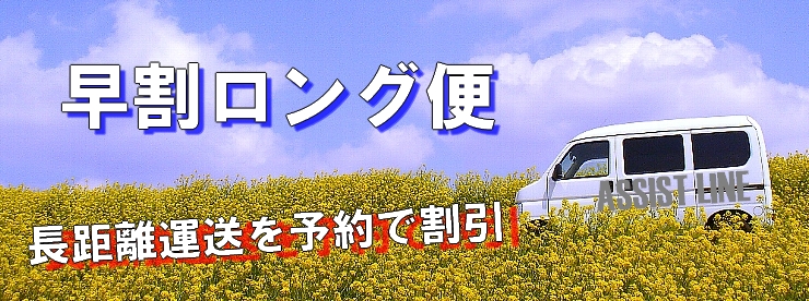 hayawari001acty.jpg