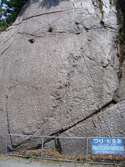 恐竜王国中里 埼玉 群馬 バイク便 埼玉県南西地区 東京多摩地区より緊急配送 Blog版