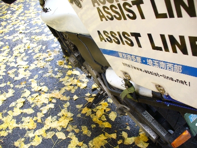 バイク便銀杏081205.jpg