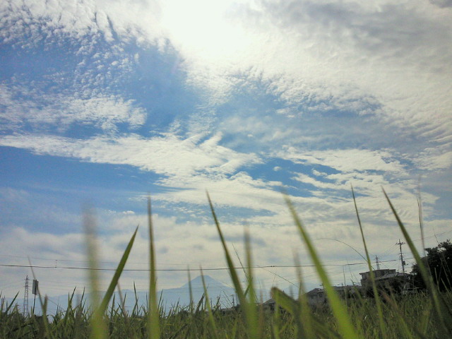 バイク便20111019amoto.jpg